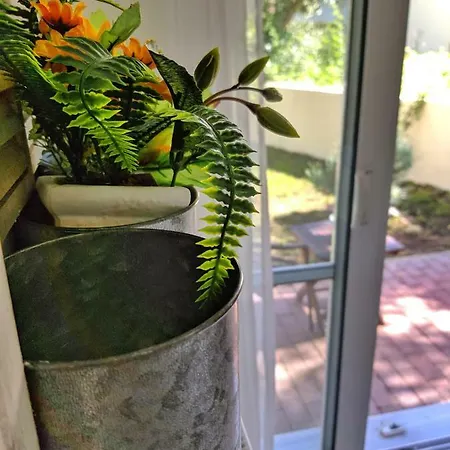 Olivine Apartmán Lefkáda